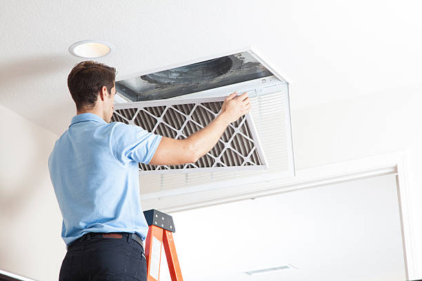 Best Air Filters and Purifiers in Mineral Springs, NC